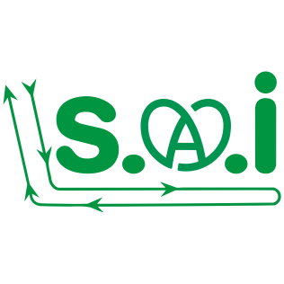 Logo S.A.I.